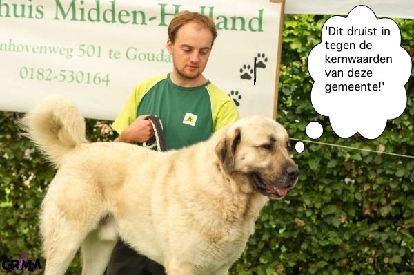 Lees meer over het artikel D66 Zuidplas wil hondjes en poesjes apart opvangen bij Dierentehuis Midden-Holland